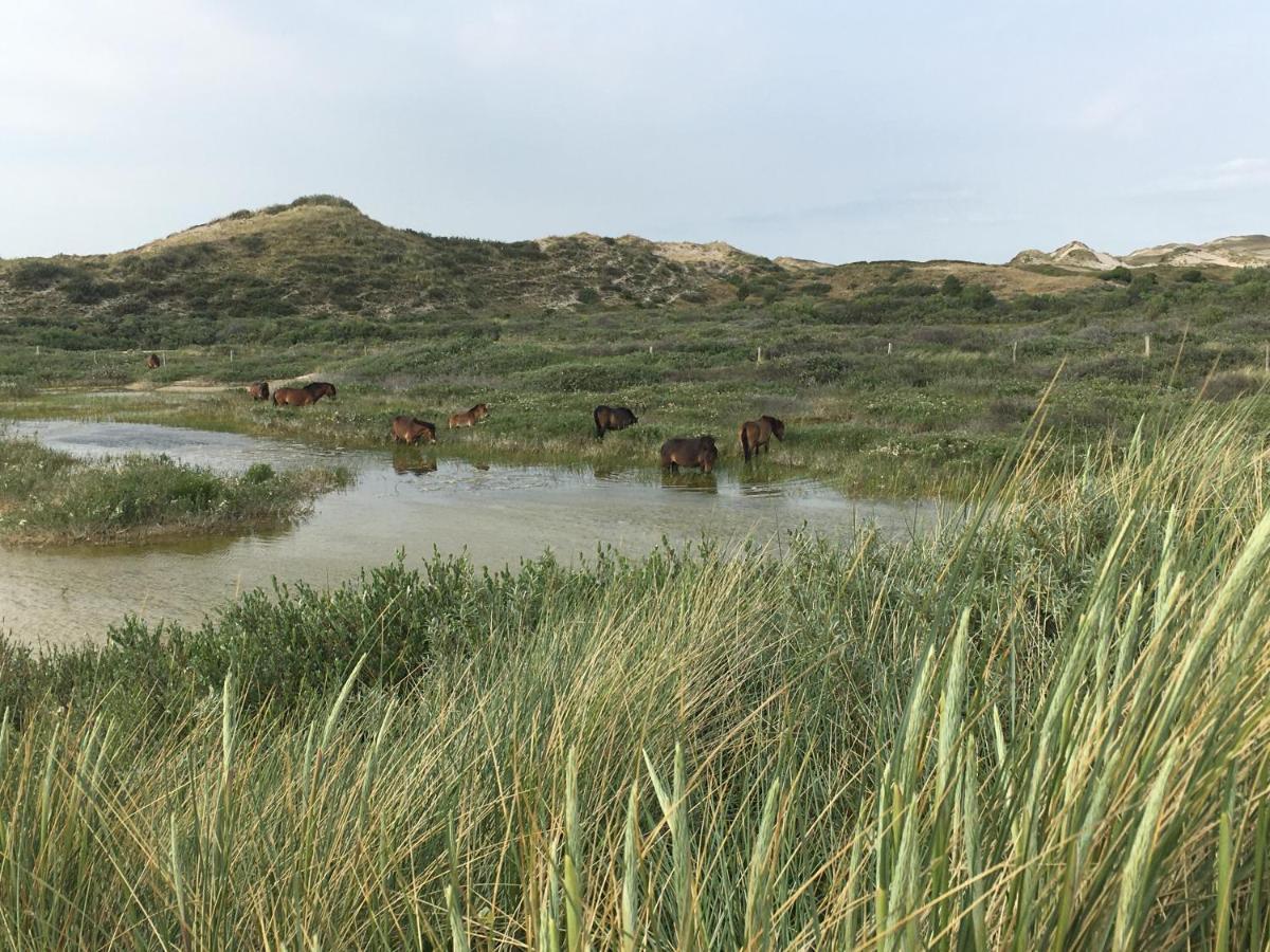 De Duinlopers - Studio Appt Bries - Strand, Duinen En Nabij Cultuur Steden Castricum Eksteriør bilde