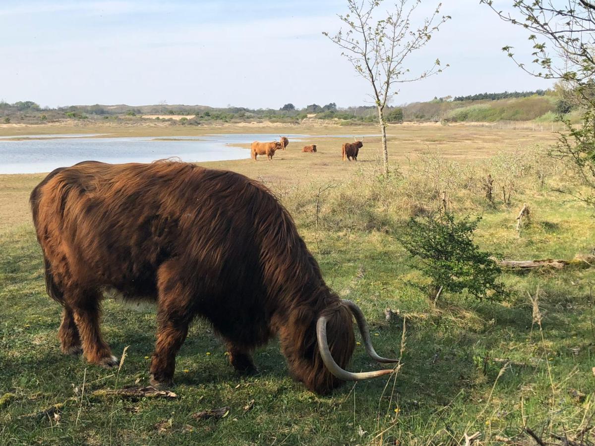 De Duinlopers - Studio Appt Bries - Strand, Duinen En Nabij Cultuur Steden Castricum Eksteriør bilde