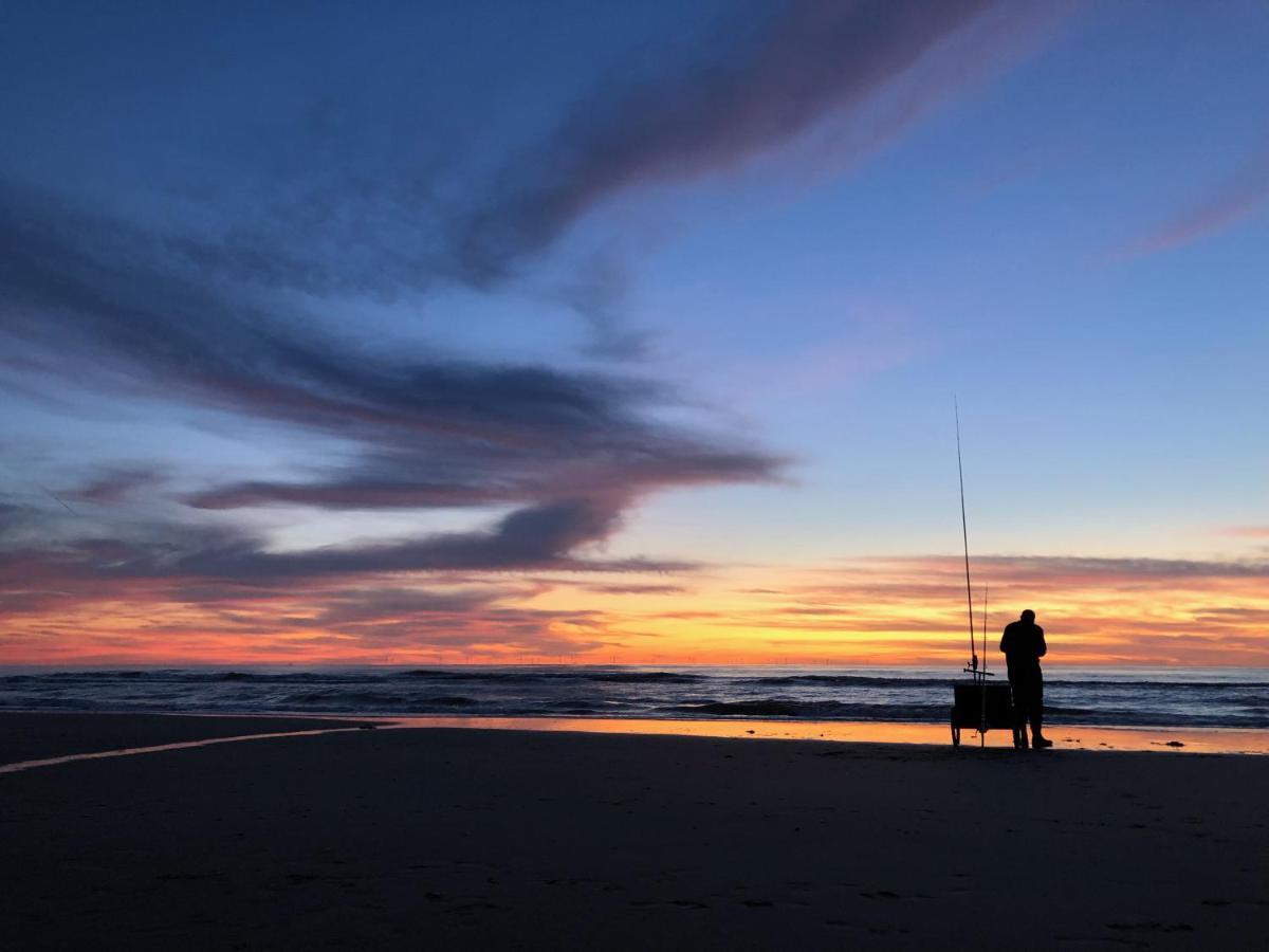 De Duinlopers - Studio Appt Bries - Strand, Duinen En Nabij Cultuur Steden Castricum Eksteriør bilde
