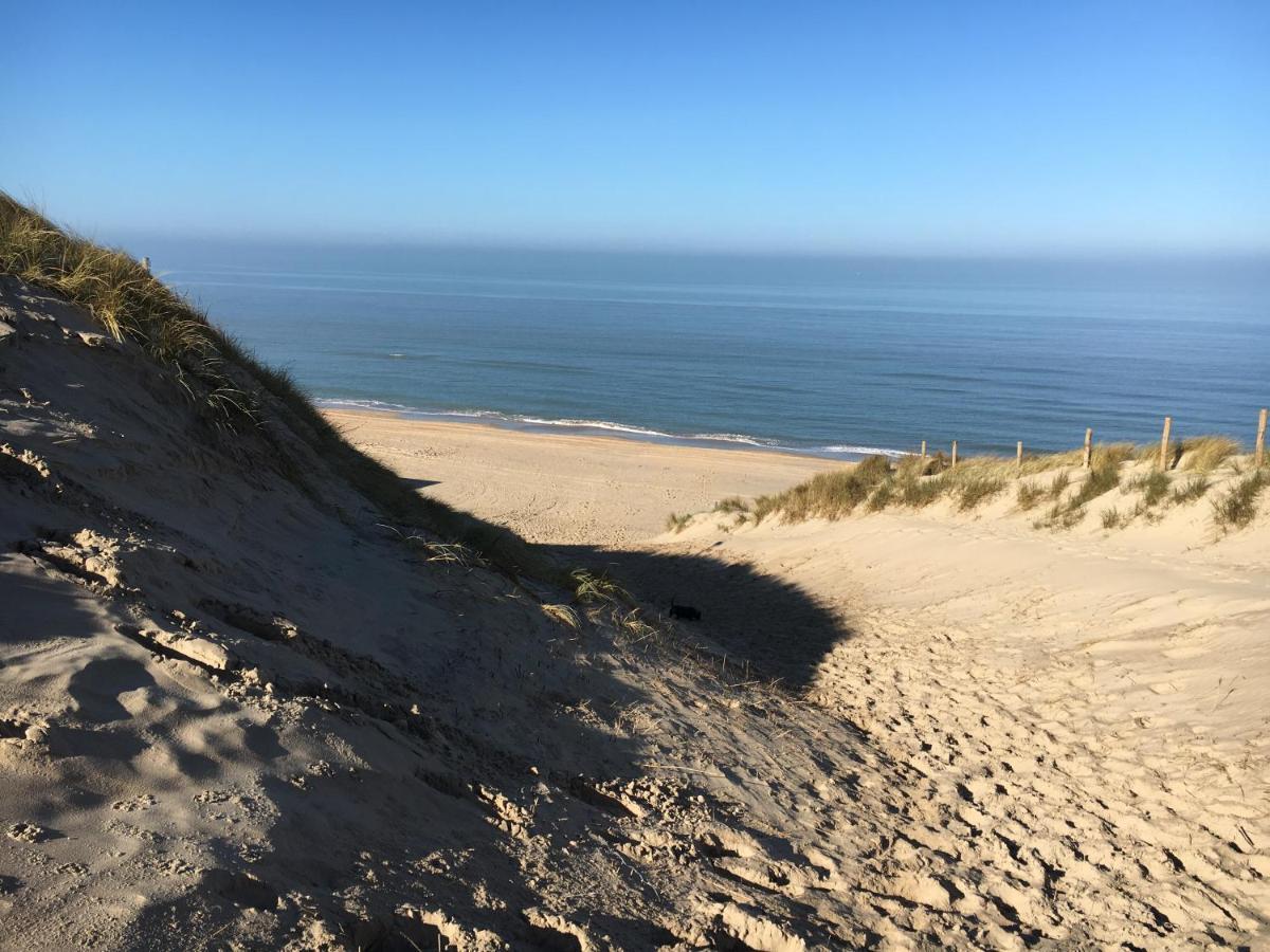 De Duinlopers - Studio Appt Bries - Strand, Duinen En Nabij Cultuur Steden Castricum Eksteriør bilde